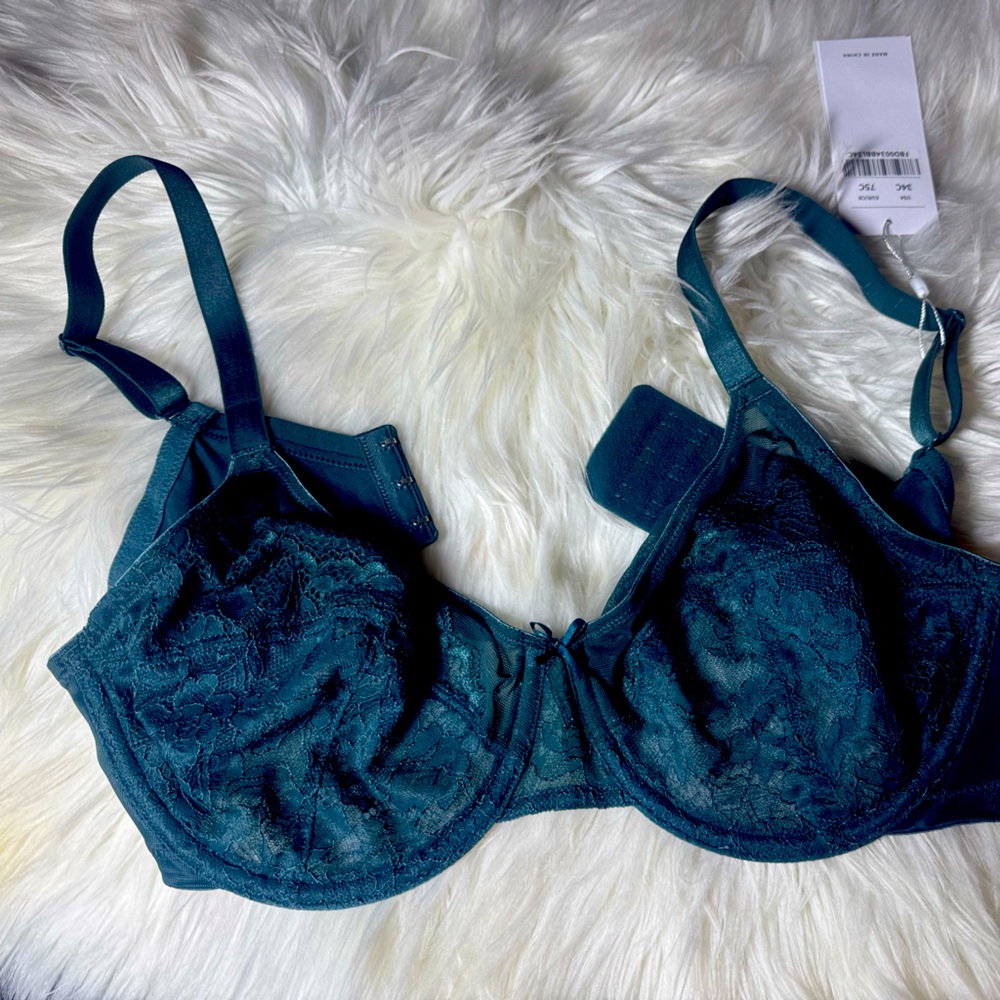 HSIA Elegant Teal Lace Bra size 34C